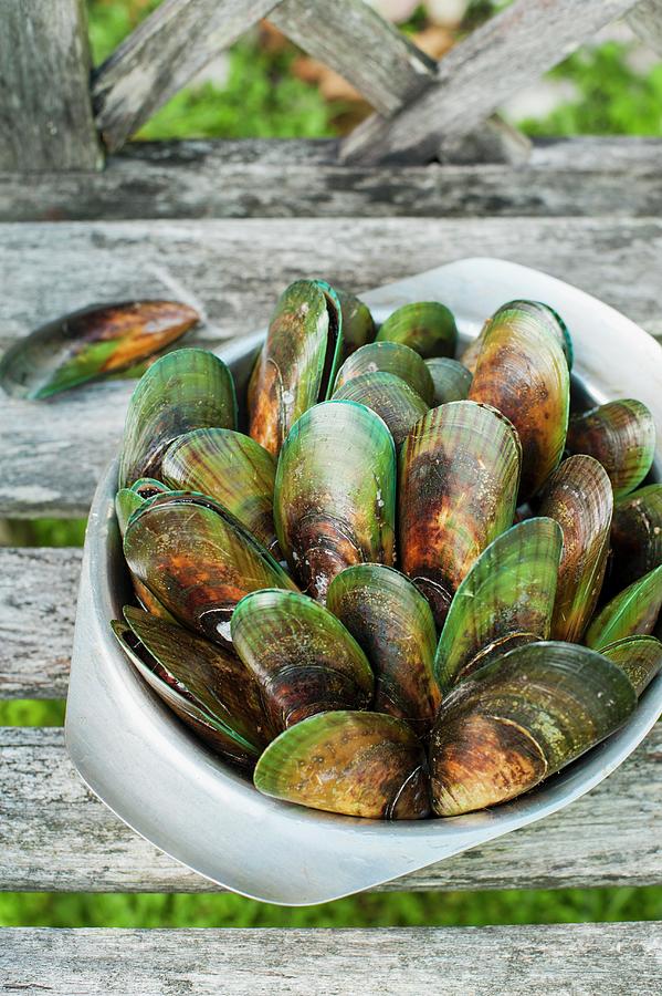 Fresh Green-shelled Mussels In A Bowl Photograph by Sarka Babicka