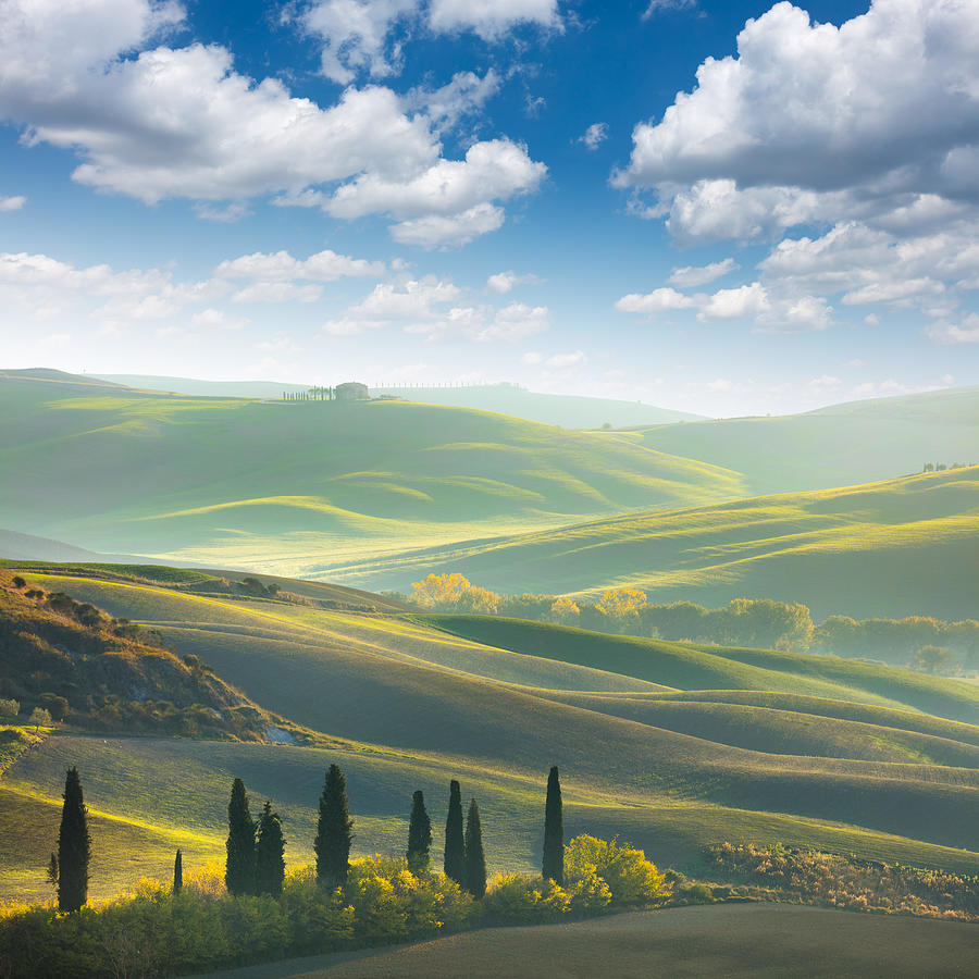 Landscape Photograph - Fresh Green Tuscany Landscape In Spring by Alina Pavlova