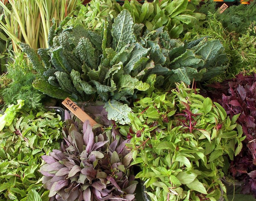 Fresh Herbs And Kale On A Market Stand Photograph by William Boch