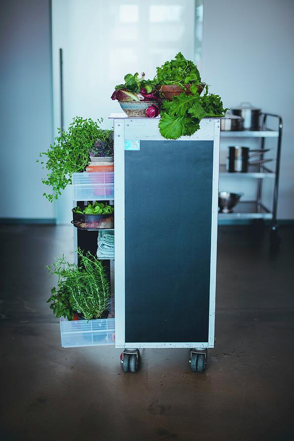 Fresh Herbs And Vegetables On A Kitchen Trolley Photograph by Eising Studio