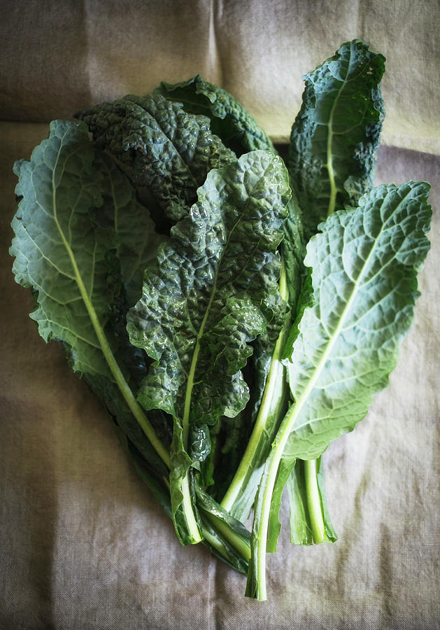 Fresh Kale Leaves seen From Above Photograph by Eising Studio
