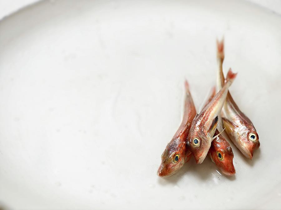 Fresh Klipfish On A White Plate Photograph by Frdric Perrin