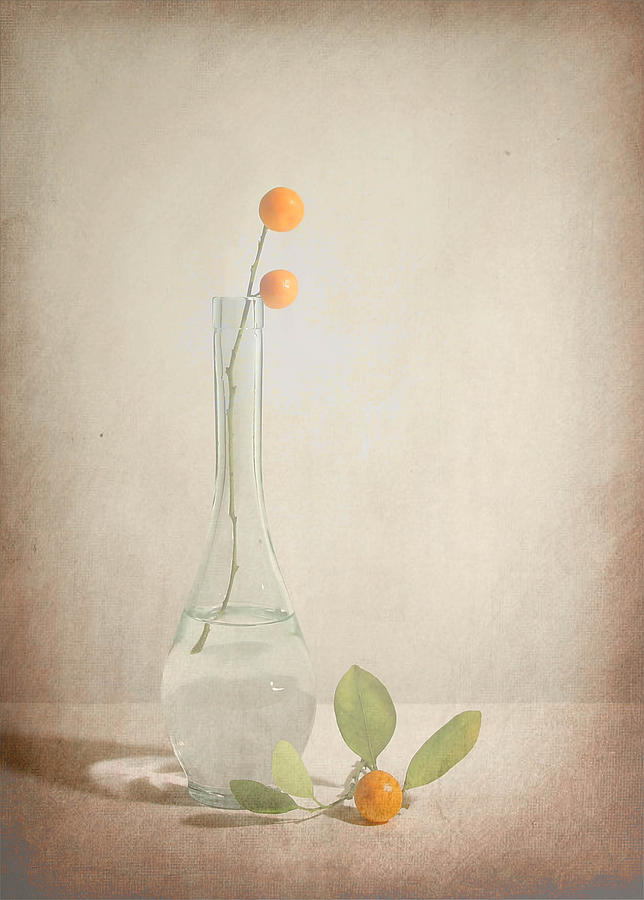 Fresh Kumquat Photograph by Fangping Zhou