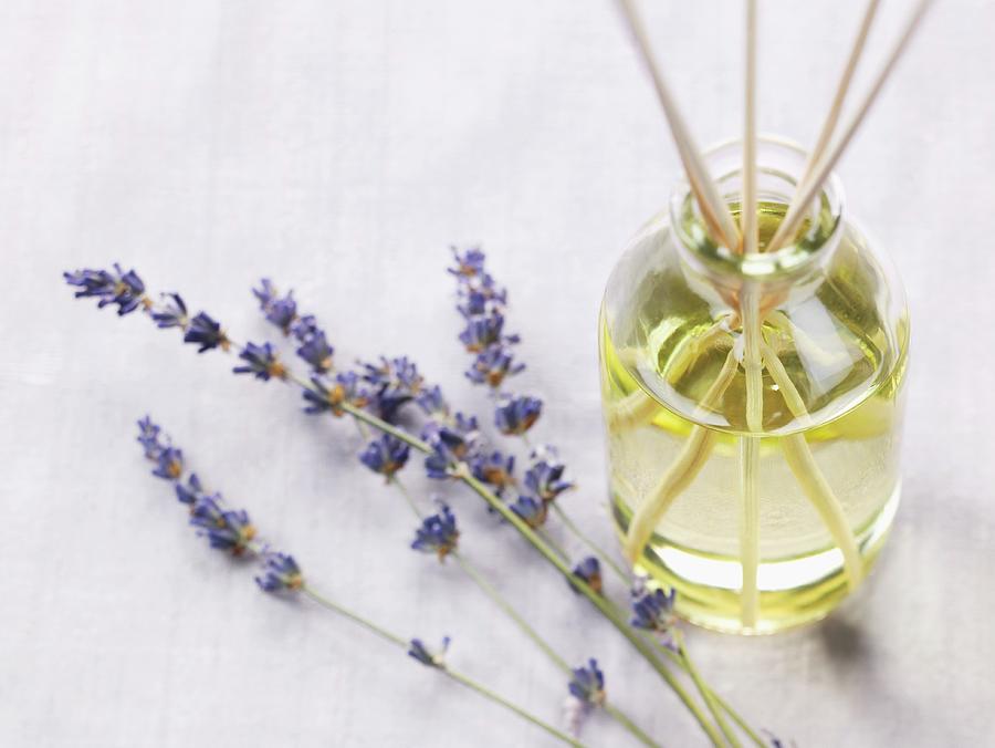 Fresh Lavender With A Jar Of Oil And Diffuser Reeds Photograph by Rene Comet