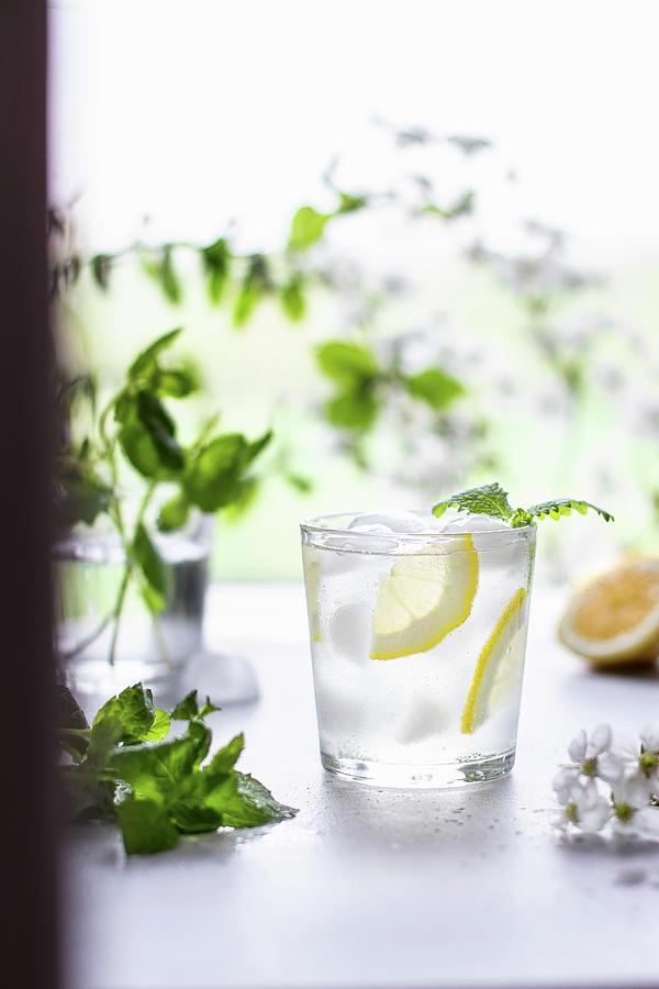 Fresh Lemonade With Ice Cubes And Lemon Wedges Photograph by Yulia Shkultetskaya