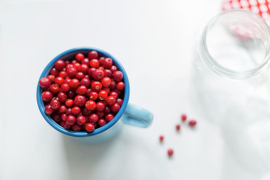 Fresh Lingonberries In A Blue Enamel Cup Next To A Preserving Jar Photograph by Sabine Lscher