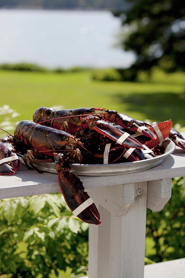 Fresh Lobsters On A Platter Outdoors Photograph by Strokin, Yelena