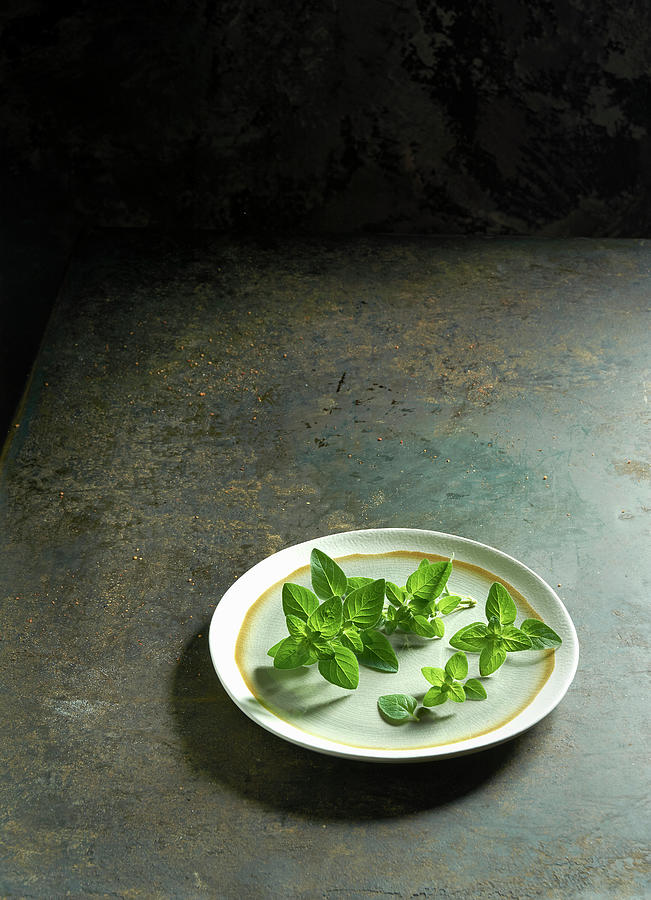 Fresh Marjoram On A Ceramic Plate Photograph by Christoph Maria Hnting