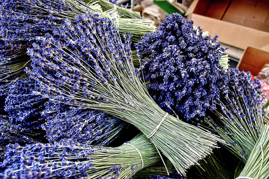 Fresh Market Lavender by Jim White Napaman Fresh Market Lavender by Jim White Napaman
