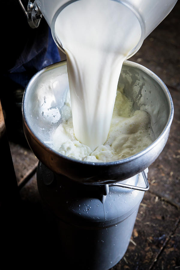 Fresh Milk Being Poured Into A Milk Churn Photograph by Jalag / Vivi Dangelo