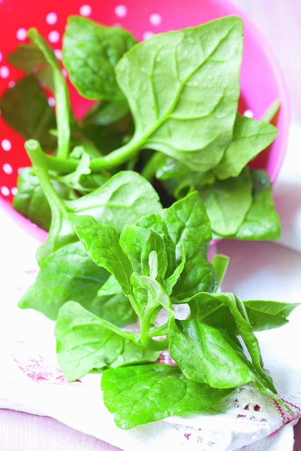 Fresh New Zealand Spinach In A Dish Photograph by Hilde Mche