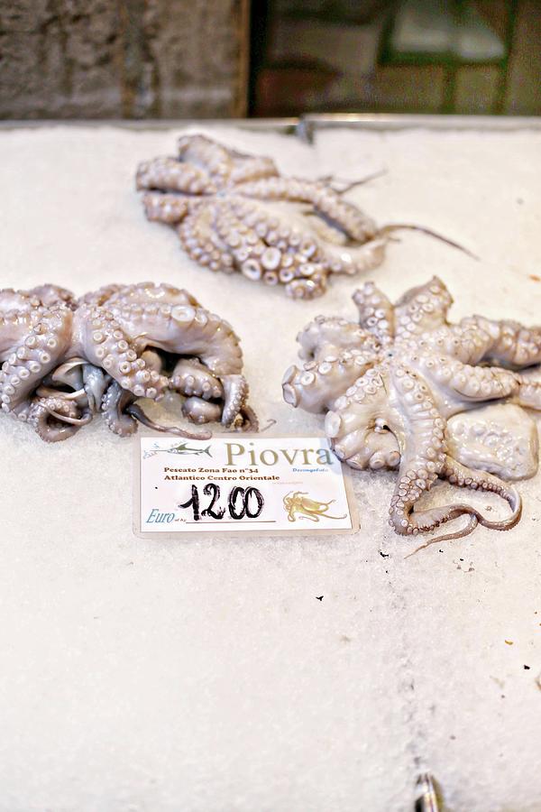 Fresh Octopus At A Fish Market In Venice Photograph by Alexandra Panella