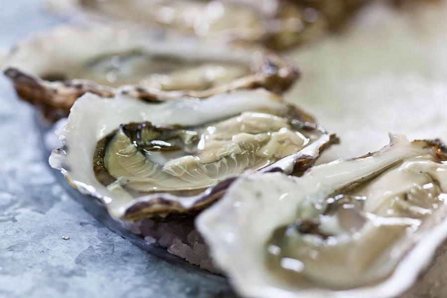 Fresh, Opened Oysters close-up Photograph by Isolda Delgado Mora