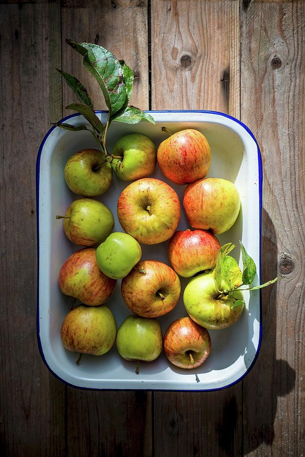 Fresh Organic Apples In An Enamel Dish On A Wooden Surface seen From Above Photograph by Nitin Kapoor