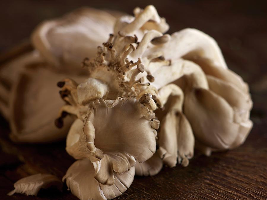 Fresh Oyster Mushrooms On A Wooden Surface Photograph by Brenda Spaude