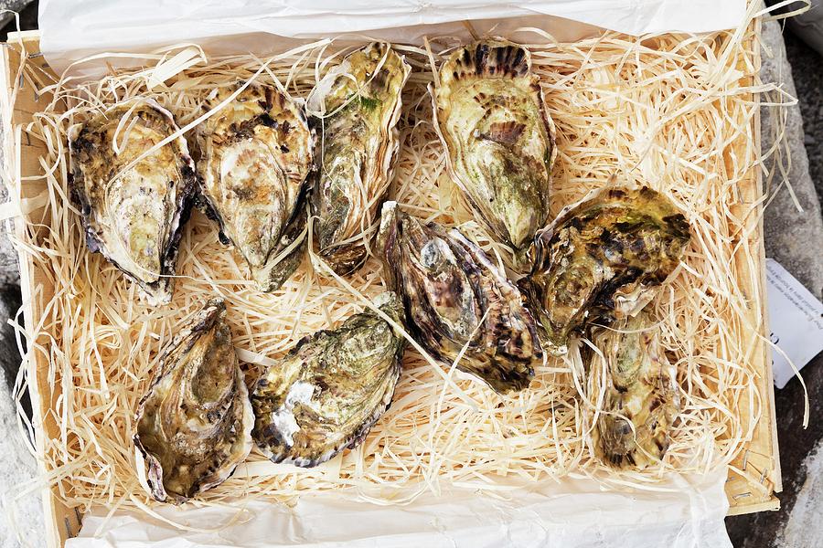 Fresh Oysters In A Transportation Box Photograph by Taste Agencia Gastronmica