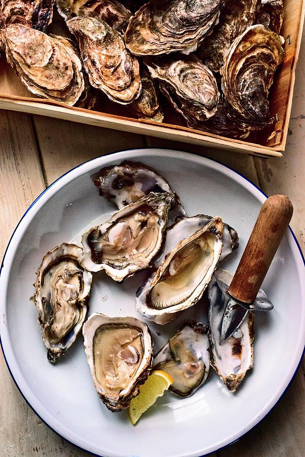 Fresh Oysters marennes Doleron With An Oyster Knife And Lemon Wedges Photograph by Roger Stowell