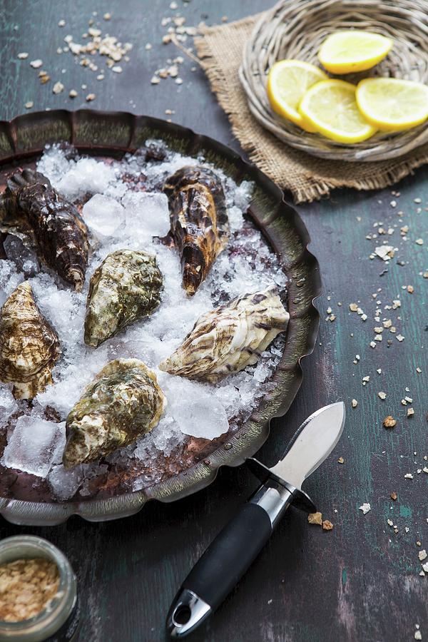Fresh Oysters On Ice With An Oyster Knife And Lemon Slices Photograph by Aniko Takacs