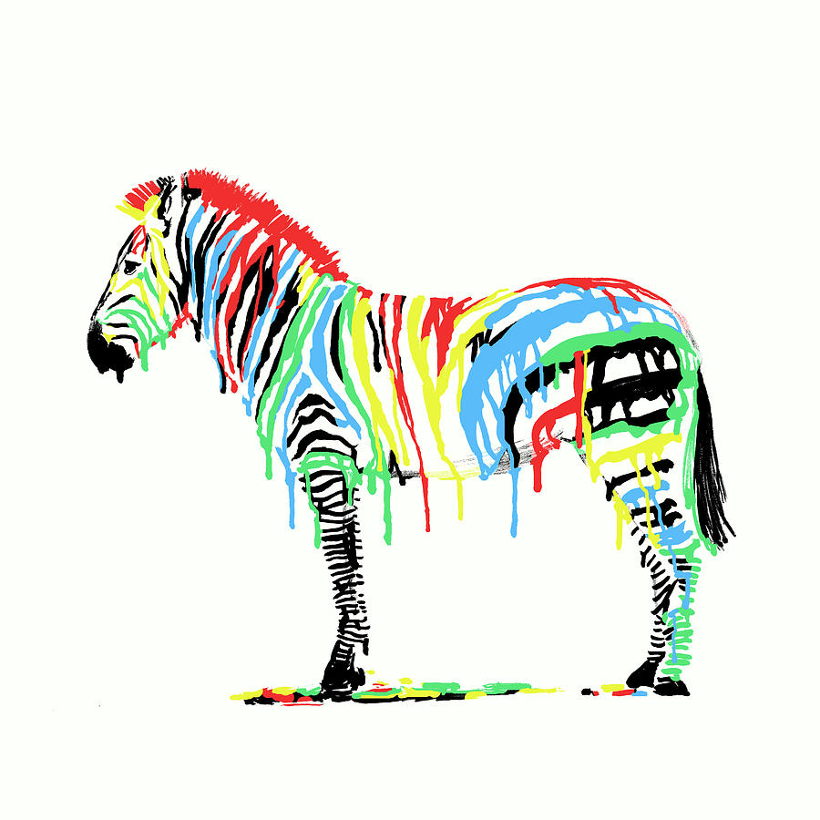 Zebra Drawing - Fresh Paint by Eric Fan