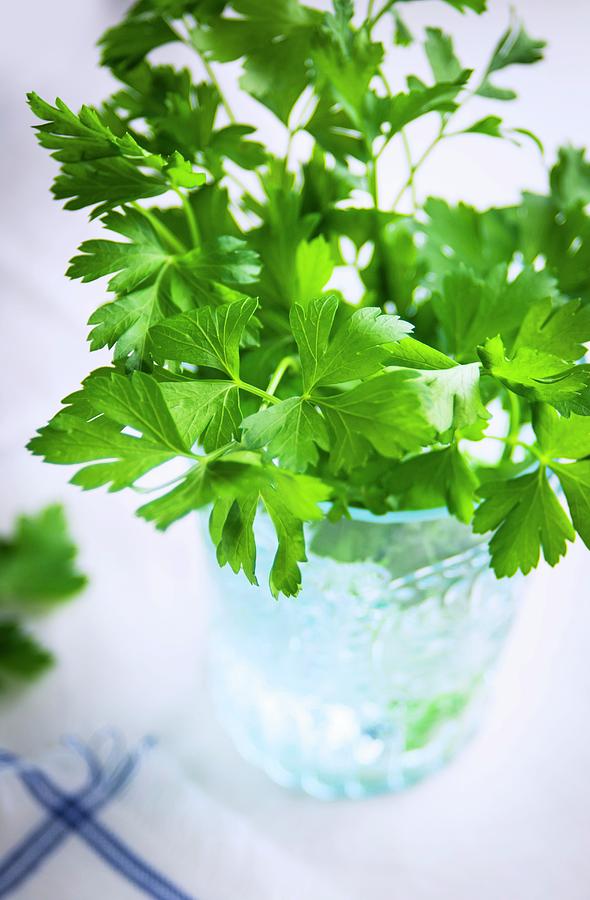 Fresh Parsley In A Glass Of Water Photograph by Jennifer Blume
