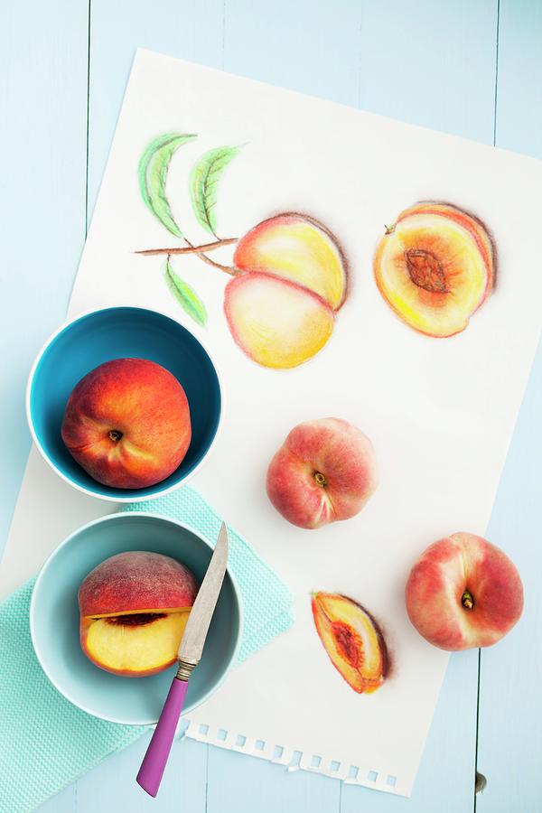 Fresh Peaches And Drawings Of Peaches Photograph by Elisabeth Cölfen ...