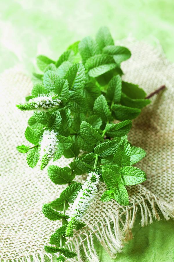 Fresh Peppermint On A Piece Of Jute Photograph by Hilde Mche