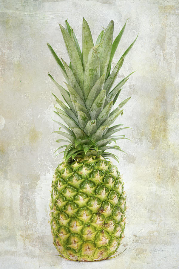 Fresh Pineapple Photograph by Jai Johnson
