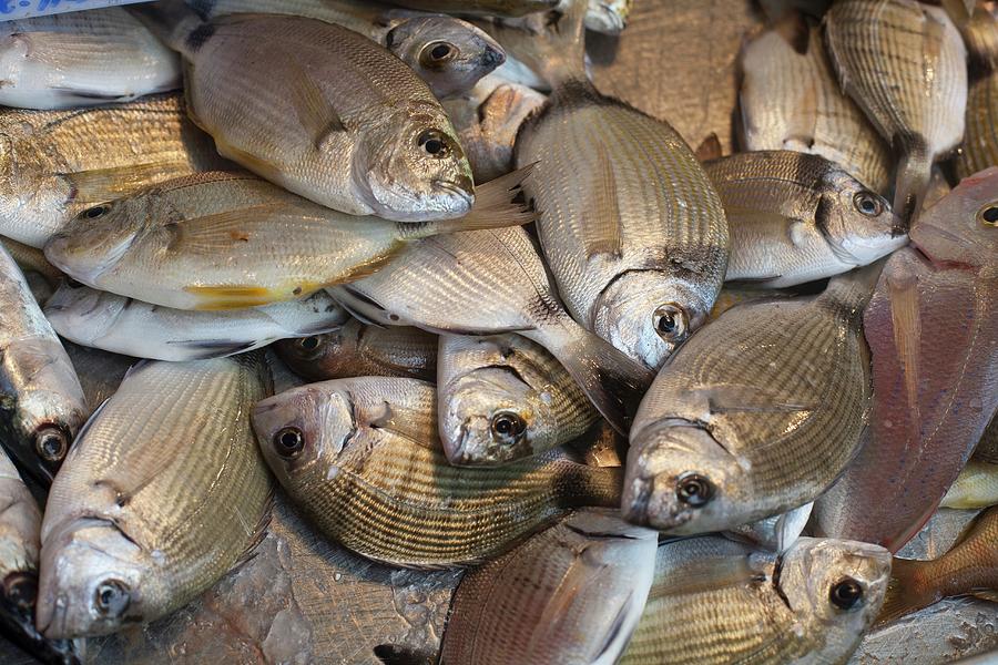 Fresh Pompano Fish At Ortigia Market In Siracusa Sicily Photograph by ...