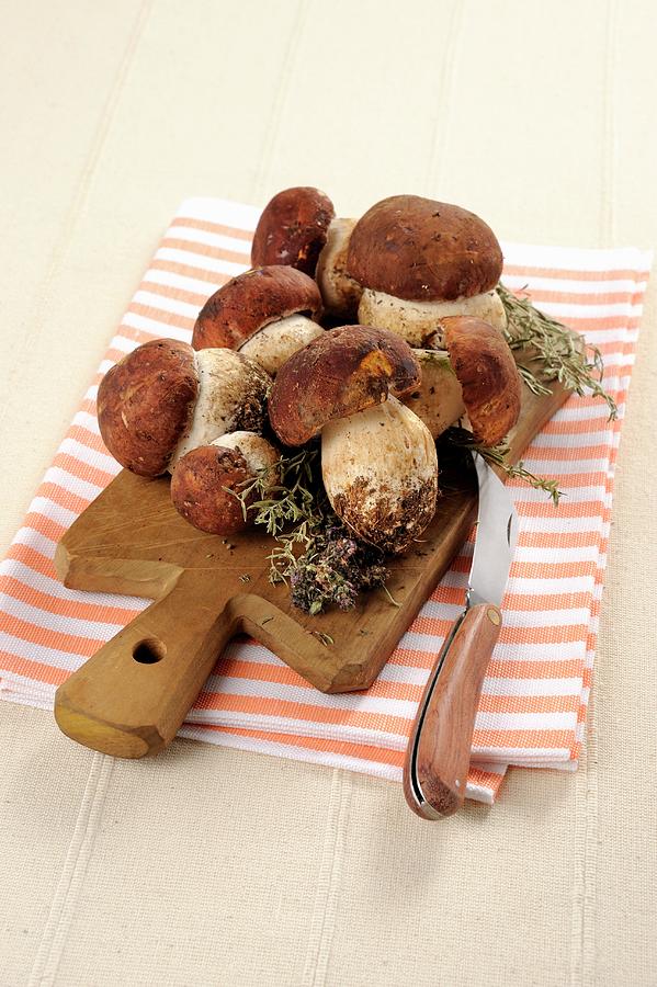 Fresh Porcini Mushrooms On A Chopping Board Photograph by Franco Pizzochero