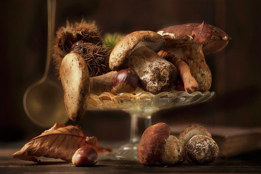 Fresh Porcini Mushrooms With Chestnuts And Autumnal Leaves Photograph by Piga & Catalano S.n.c.