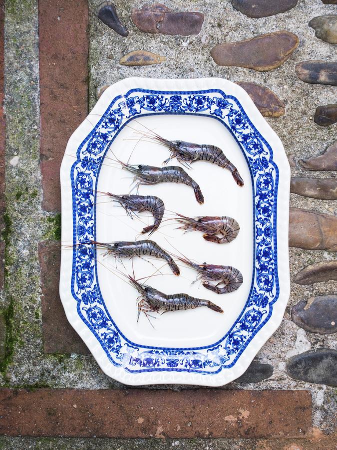 Fresh Prawns On A Blue-and-white Plate Photograph by Miriam Rapado