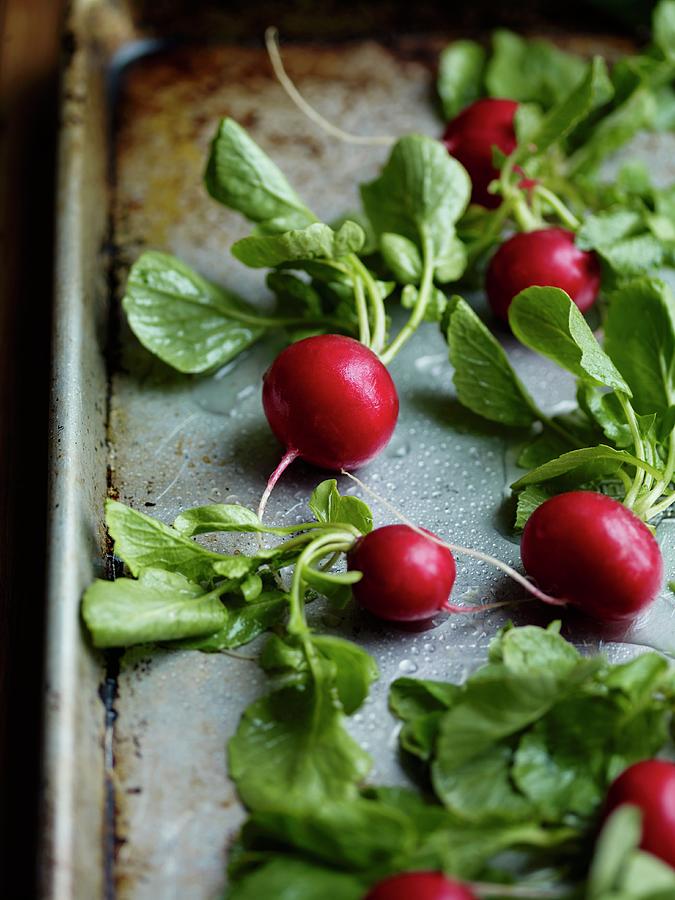 Fresh Radishes On A Baking Tray Photograph by Jim Franco Photography
