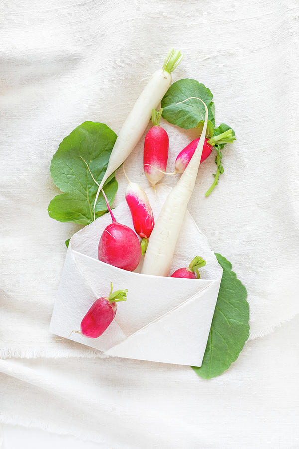 Fresh Radishes, Red And White Photograph by Sabine Lscher
