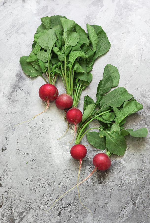 Fresh Radishes With Leaves Photograph by Adel Bekefi