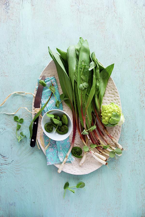 Fresh Ramps With Fiddleheads Photograph by Peltre, Beatrice