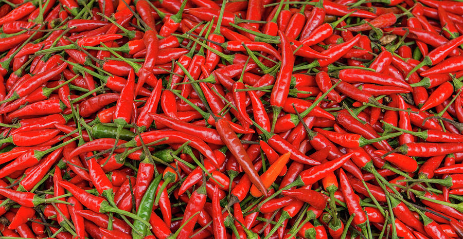 Fresh Red Chili Peppers Photograph by Ann Moore