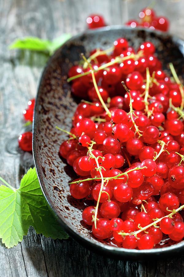 Fresh Red Currants On A Ceramic Plate Photograph by Petr Gross