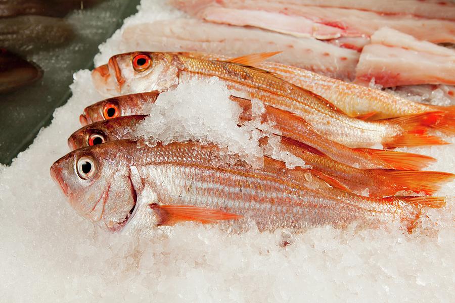 Fresh Red Mullet On Ice Photograph by Creative Photo Services