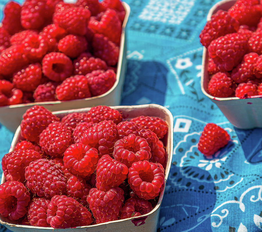 Fresh Red Raspberries Photograph by Darryl Brooks