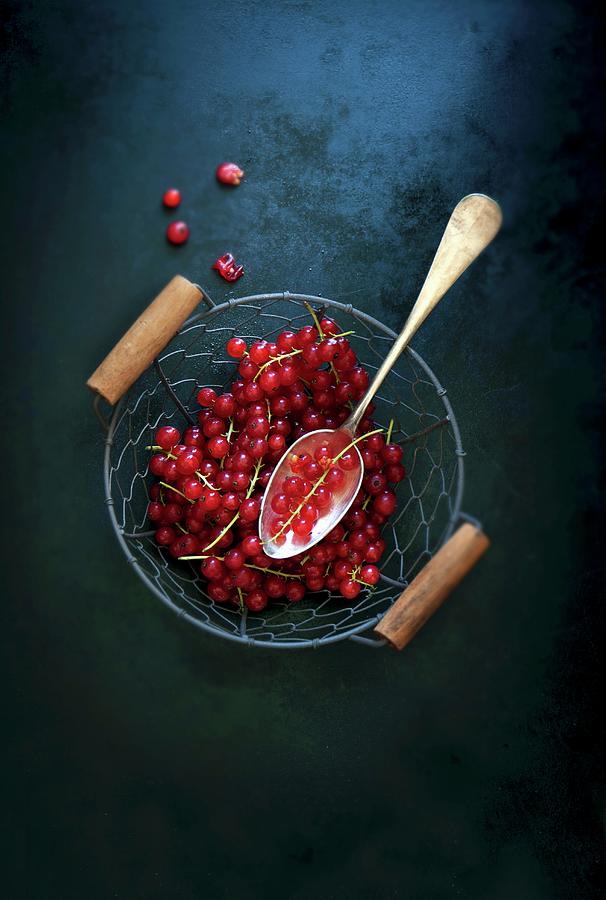 Fresh Redcurrants With A Spoon In A Wire Basket Photograph by Valeria Aksakova