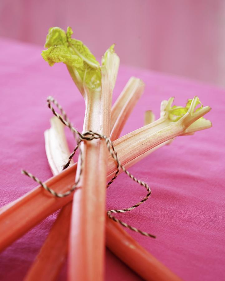Fresh Rhubarb Stalks On A Pink Tablecloth Photograph by Mikkel Adsbl