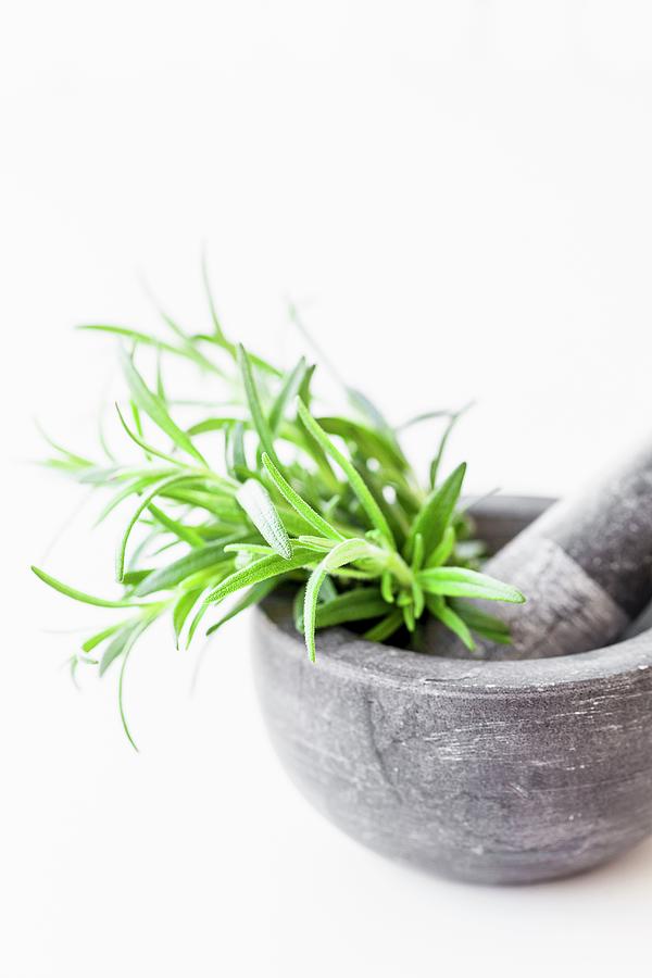 Fresh Rosemary In A Stone Mortar With A Pestle Photograph by Sarah Coghill