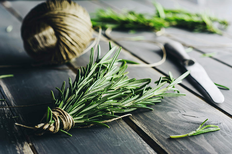 Fresh Rosemary, Tied In A Bundle Photograph by Mateusz Siuta