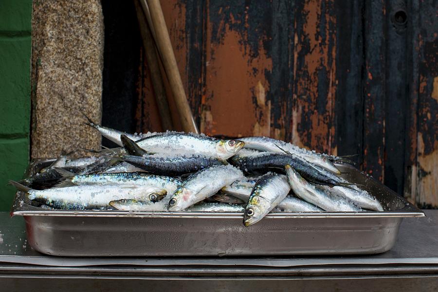 Fresh Sardines In A Stainless Steel Container Photograph by Carine Lutt