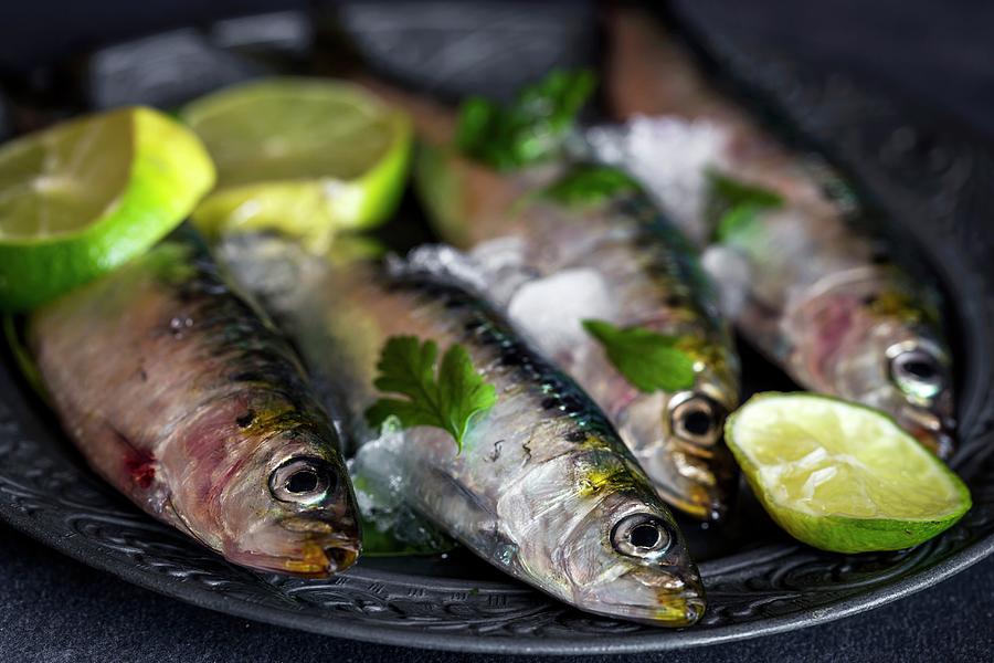 Fresh Sardines With Slices Of Lime On A Metal Plate close-up Photograph by Eduardo Lopez Coronado