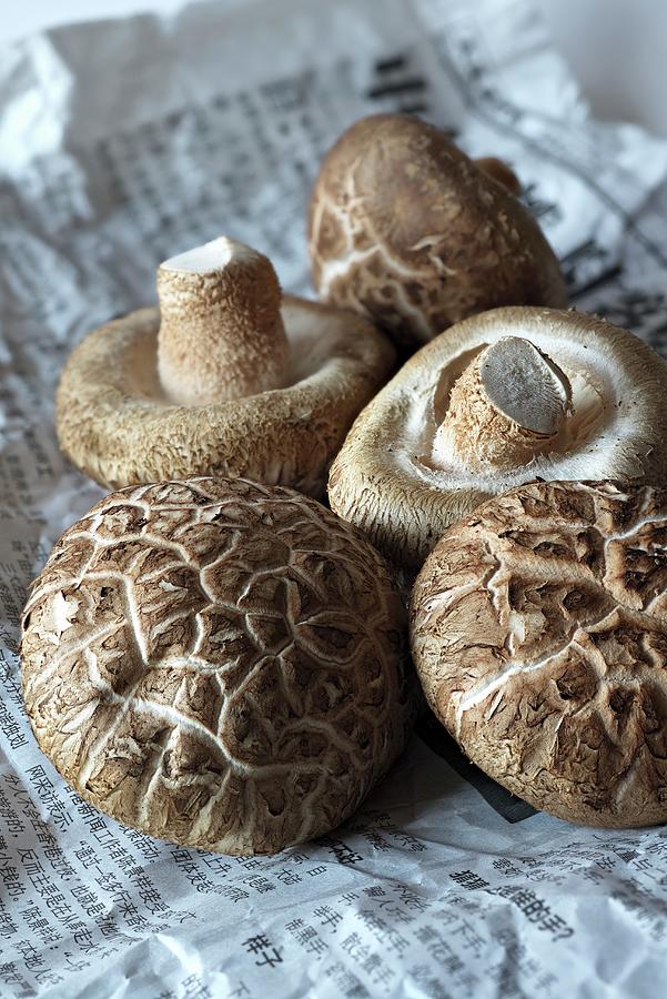 Fresh Shiitake Mushrooms From A Market Photograph by Dr. Martin Baumgrtner