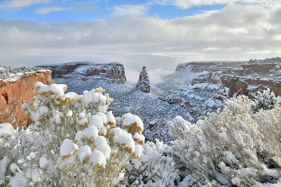 Fresh Snow at Independence Canyon Photograph by Ray Mathis