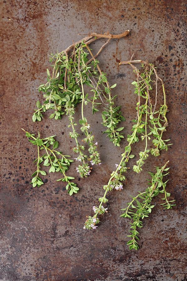 Fresh Sprigs Of Thyme With Flowers On A Metal Surface Photograph by Rua Castilho
