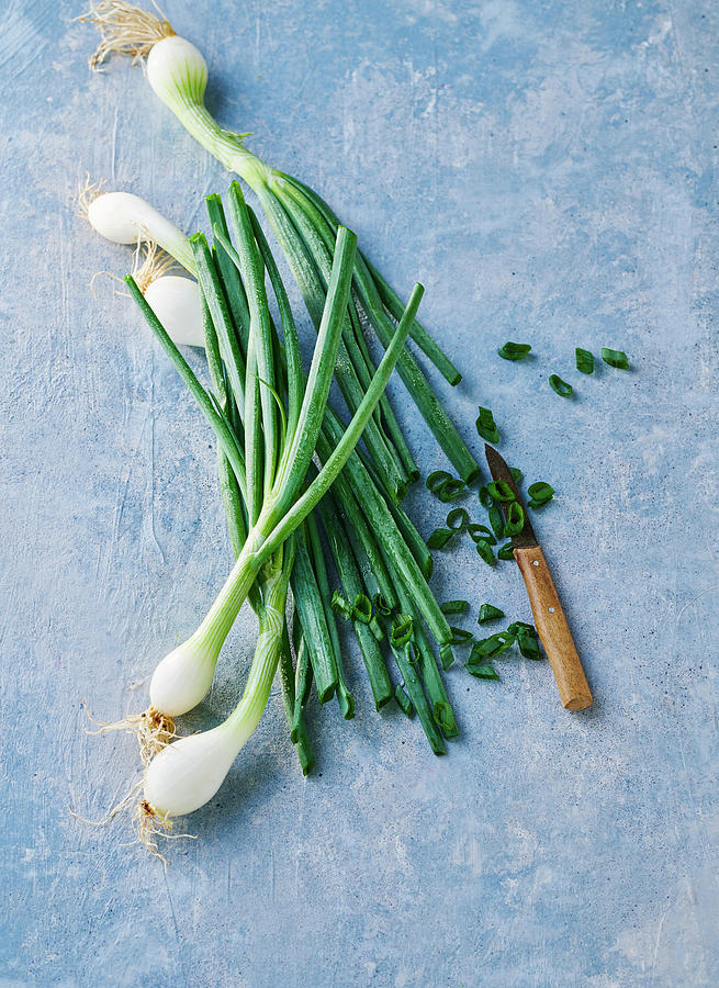 Fresh Spring Onions Photograph by Stefan Schulte-ladbeck