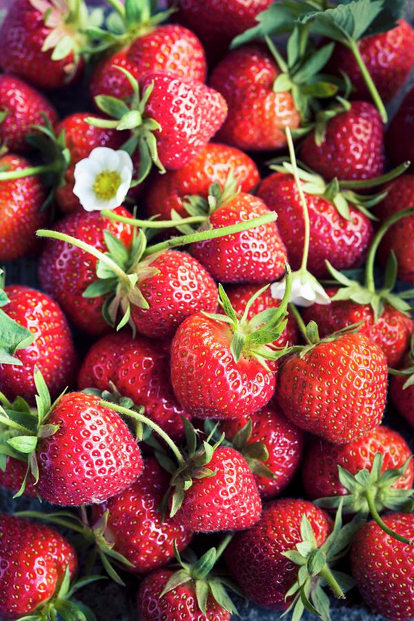 Fresh Strawberries full-frame Photograph by Eising Studio